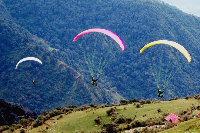 Paragliding in Dharamshala